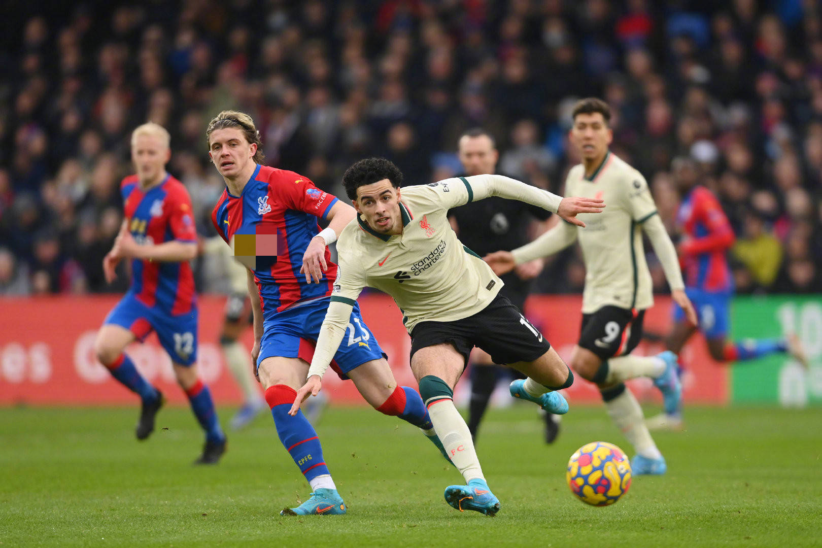 在不少体育 在不少体育